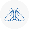 Moth Control Specialists In Stirling